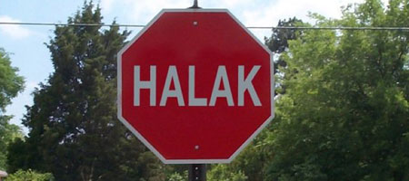 go Halak go